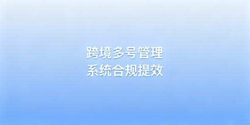 跨境电商数十账号高效管理的系统化实操指南