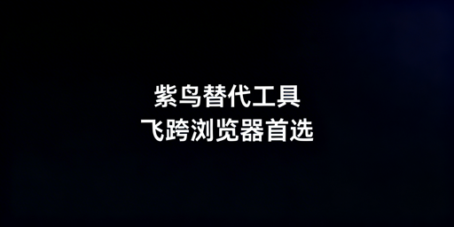 跨境电商紫鸟替代工具：选型指南及飞跨推荐