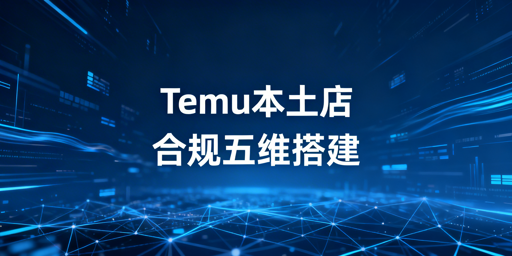 国内操作Temu海外本土店：合规防关联全指南