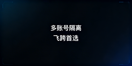 多账号防关联优选：飞跨浏览器与虚拟机深度解析