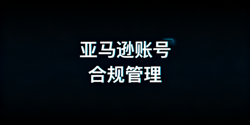 亚马逊多人账号合规管理：安全风控与落地SOP