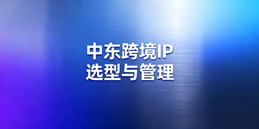 中东跨境IP选择标准及本地IP稀缺应对方案