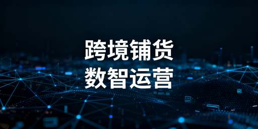 大卖家系统化跨境铺货:模式解析与实操指南