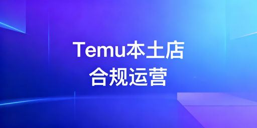 Temu本土店合规运营全指南：风控规避与落地实操