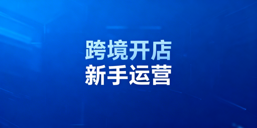 《跨境电商新店新手扶持期全流程运营核心要点》