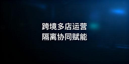 跨境电商多店铺管理:飞跨防关联与高效运营指南