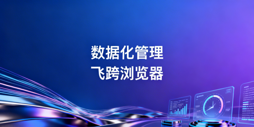飞跨浏览器：企业跨境电商数据化管理与安全利器