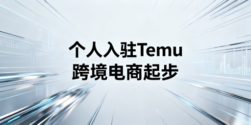 2026年Temu个人开店准备:从资质到运营全攻略